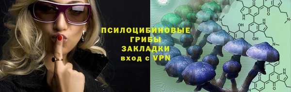 спайс Аркадак