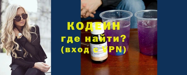 ПСИЛОЦИБИНОВЫЕ ГРИБЫ Арсеньев