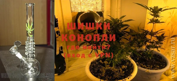 ПСИЛОЦИБИНОВЫЕ ГРИБЫ Арсеньев