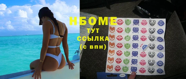 ПСИЛОЦИБИНОВЫЕ ГРИБЫ Арсеньев